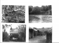 /album/galeria-de-fotos/angola-4-001-jpg/